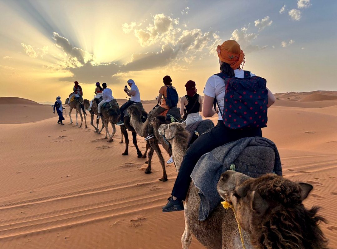 tours from marrakech