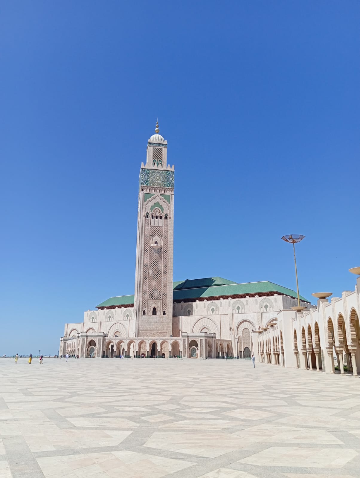 14 days tour from casablanca