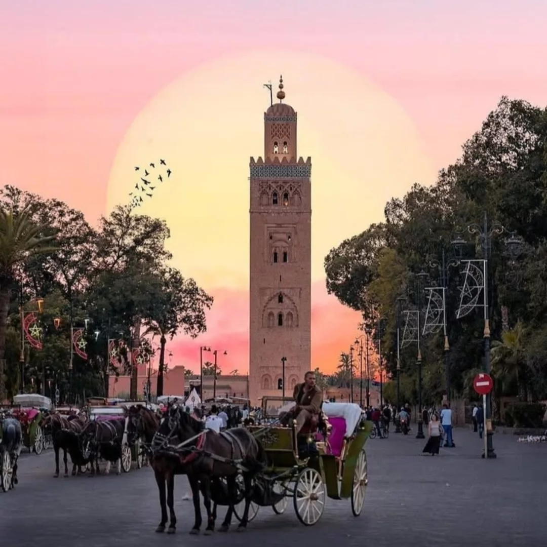 Tours from Marrakech