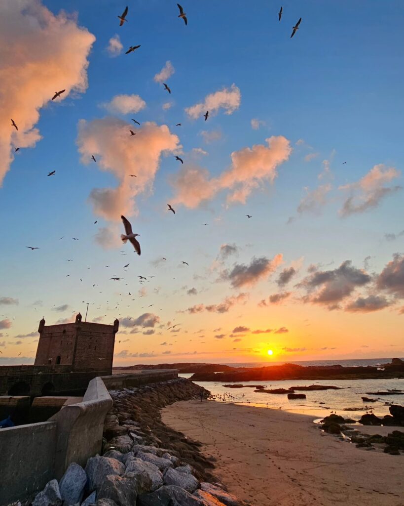 Day trip from Marrakech to Essaouira