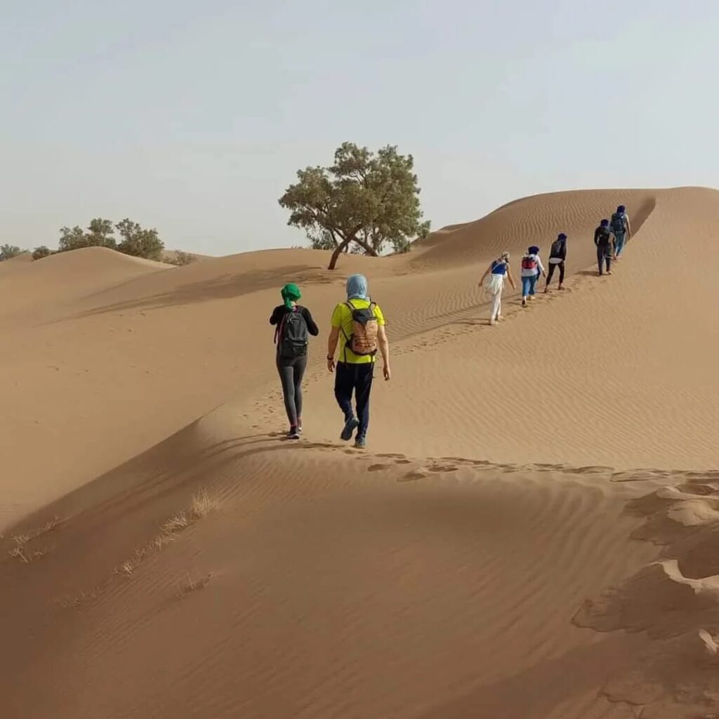 Sahara desert hiking