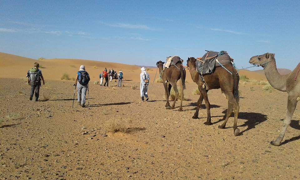 Sahara Desert Hiking