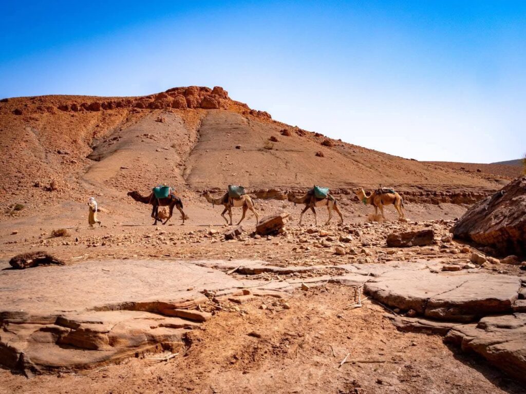 Sahara desert hiking