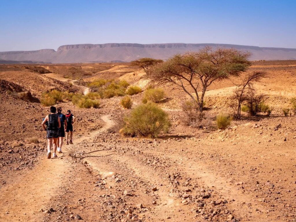 Sahara desert hiking