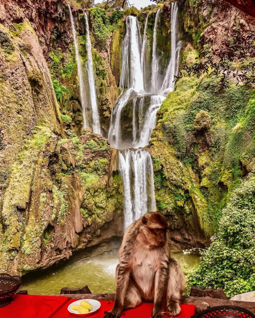 day trip from marrakech to ouzoud waterfalls