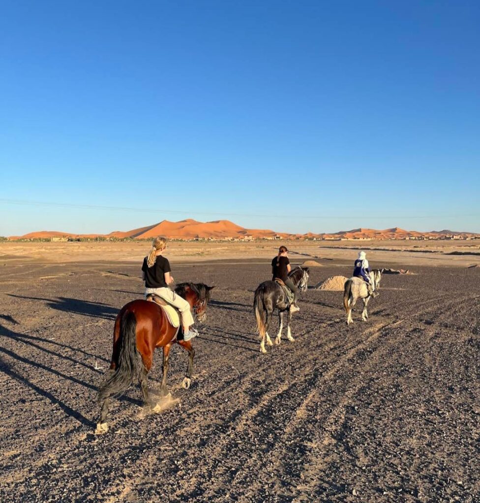 exploring Sahara Desert by Hores