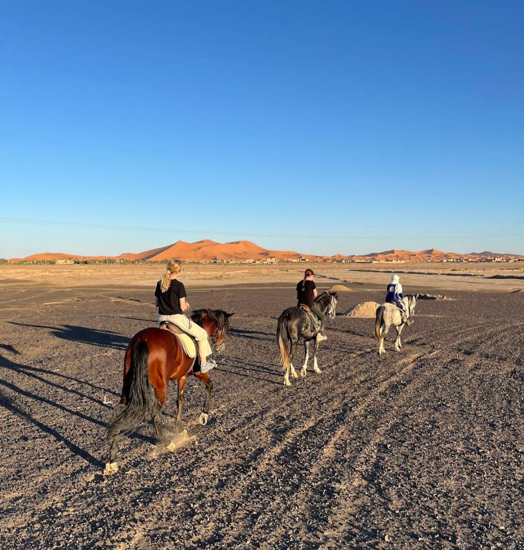 exploring Sahara Desert by Hores