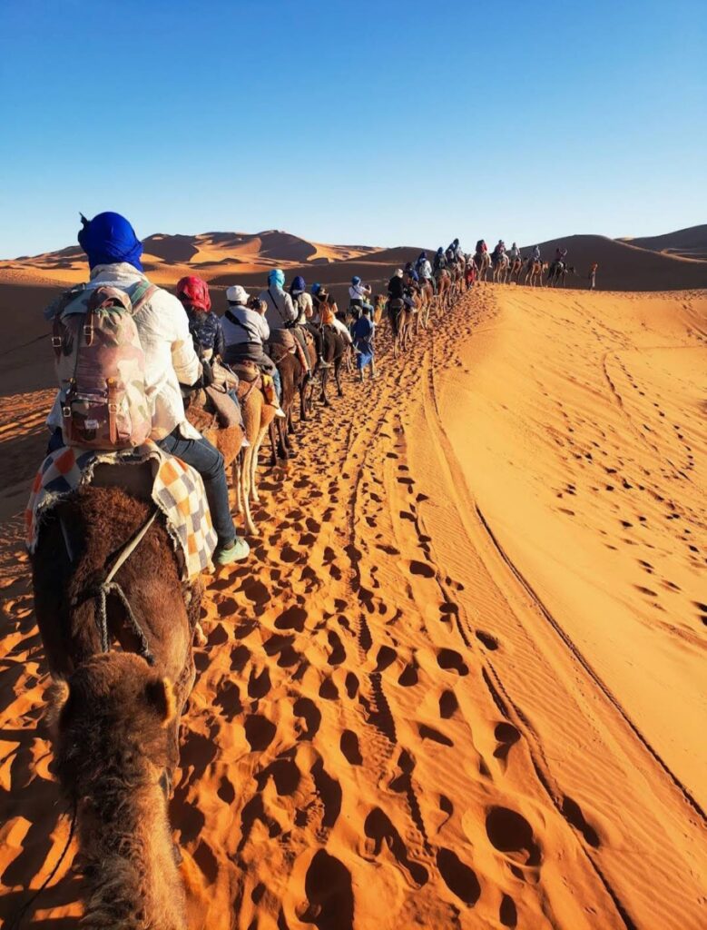 camel trekking sahara desert morocco