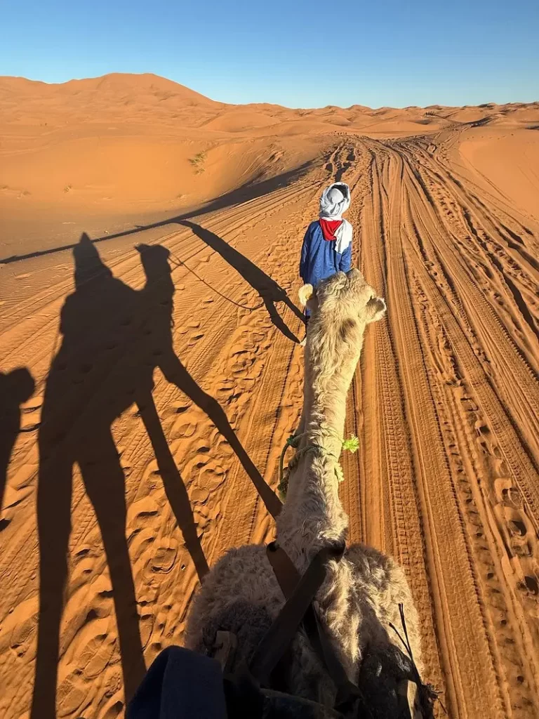 Experience of the camel ride in merzouga desert