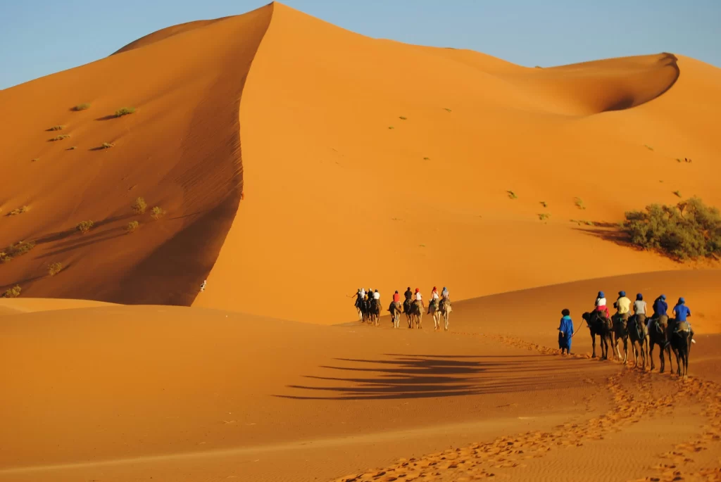 camel ride experience sahara desert