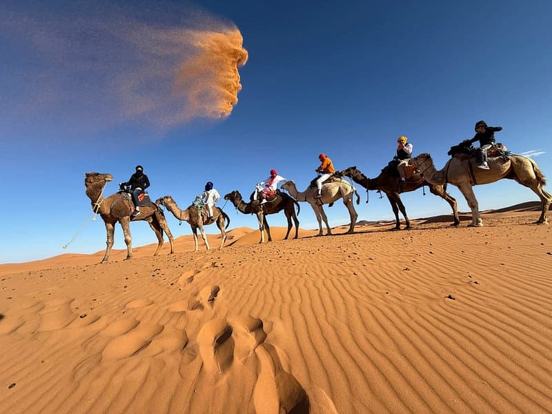 camel ride experience