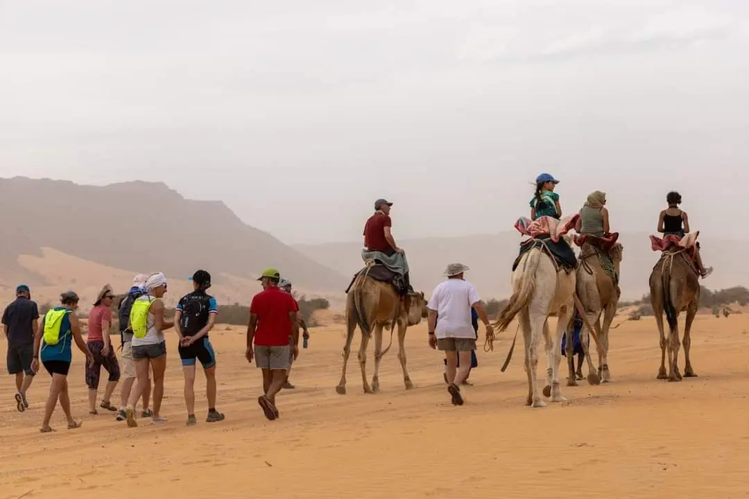 trekking in Sahara Desert