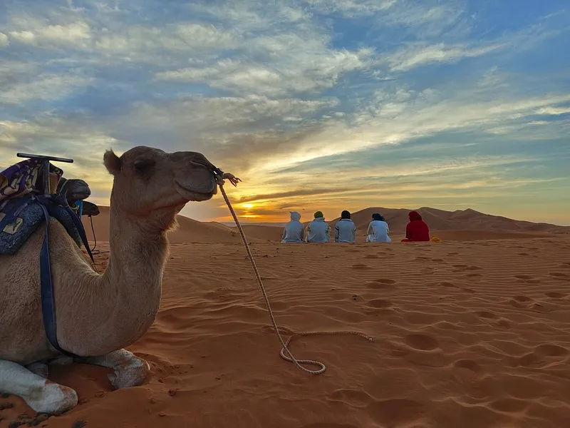 7 days journey around Morocco, from imperial cities to the Sahara Desert of Morocco