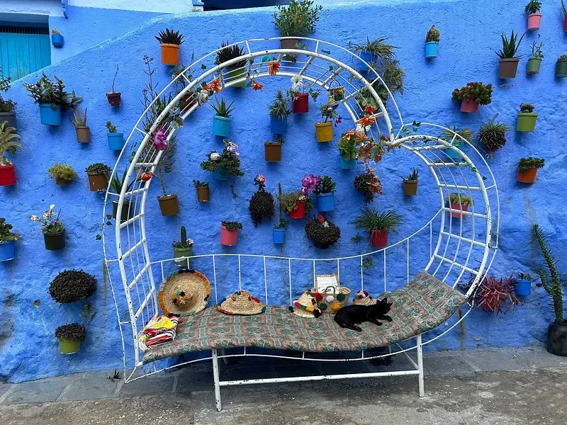 Blue streets of Chefchaouen Mofrocco