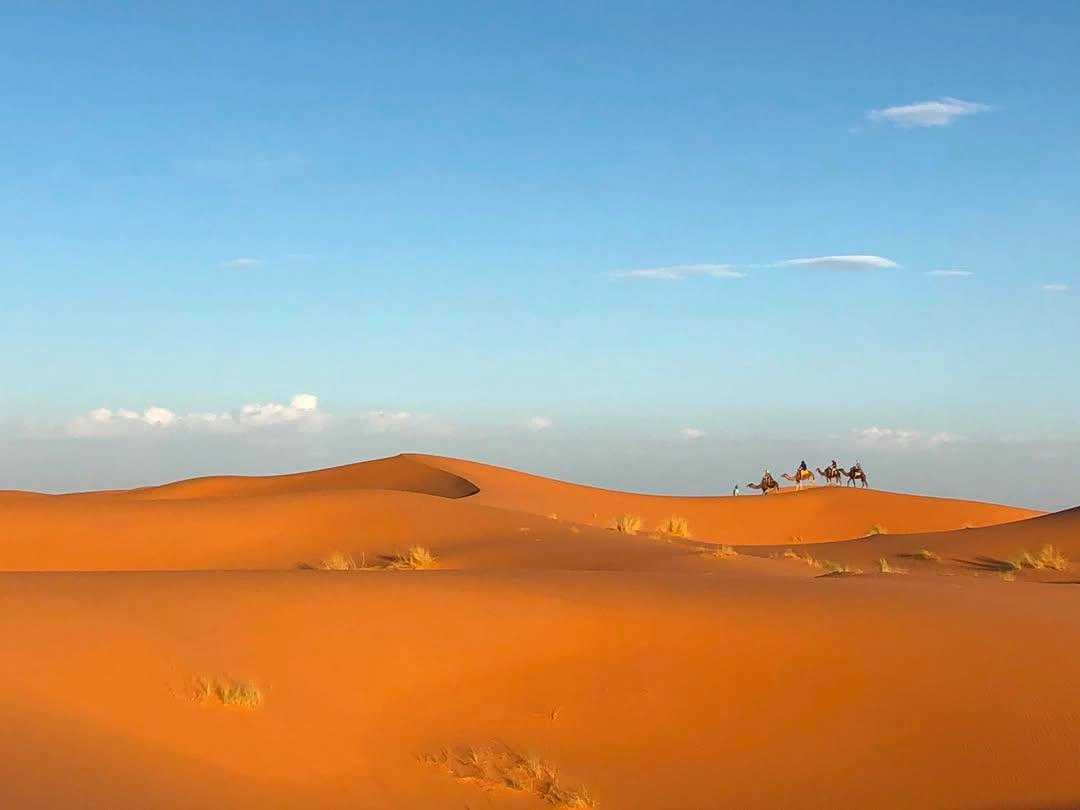 8 day Morocco tour from Marrakech through Chefchaouen, Fes, Sahara Desert camel trekking, Atlas Mountains, and Berber culture