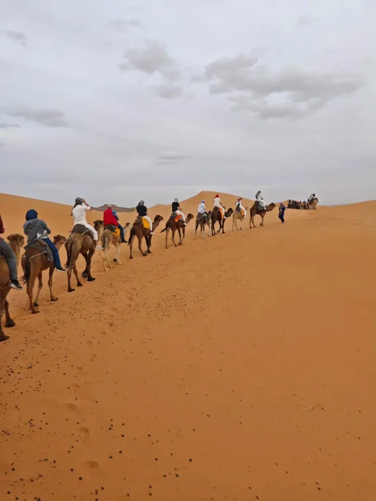 Sahara Desert experience