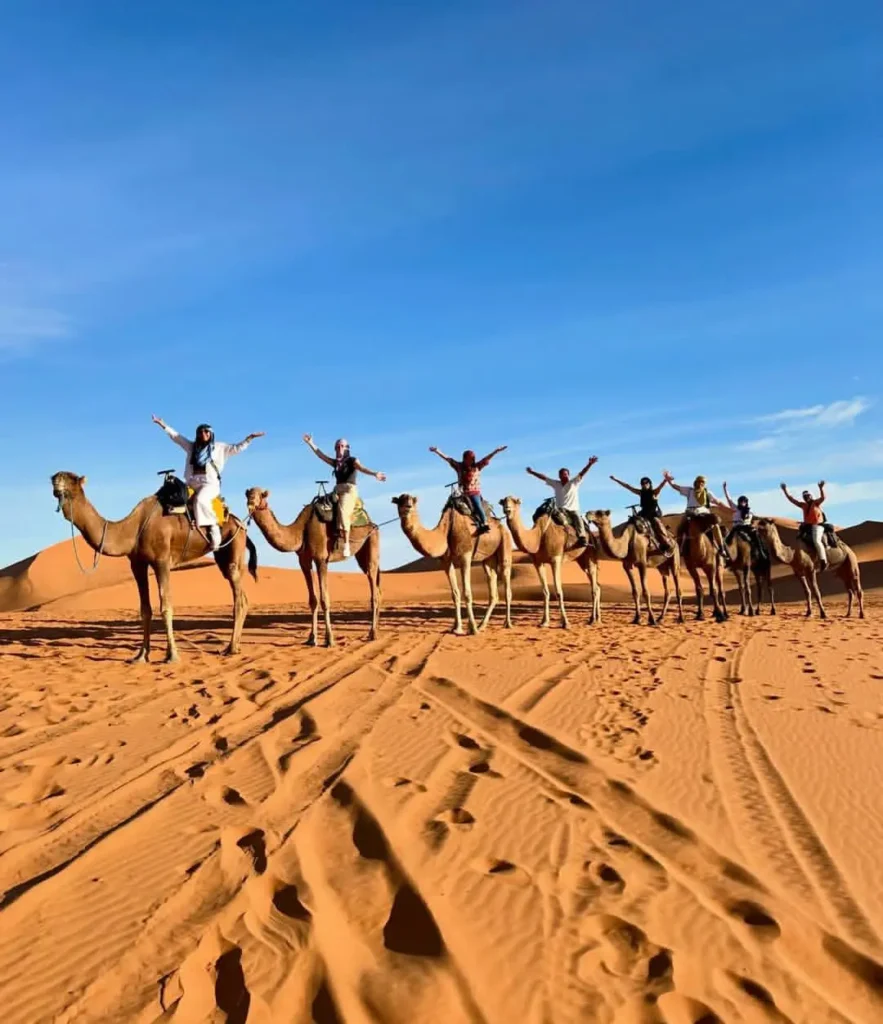 Camel trekking across the golden dunes of Merzouga Desert Morocco.