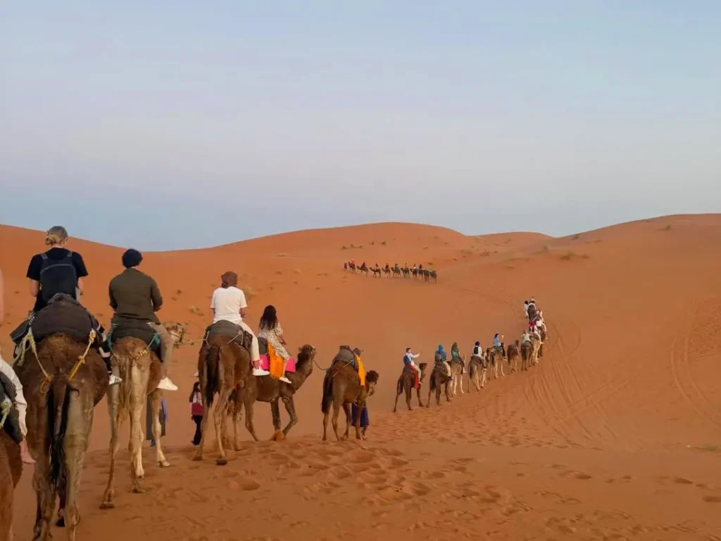 Camel Trekking Experience in the Sahara Desert of Morocco