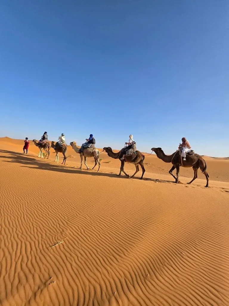 Camel ride in Sahara Desert Morocco