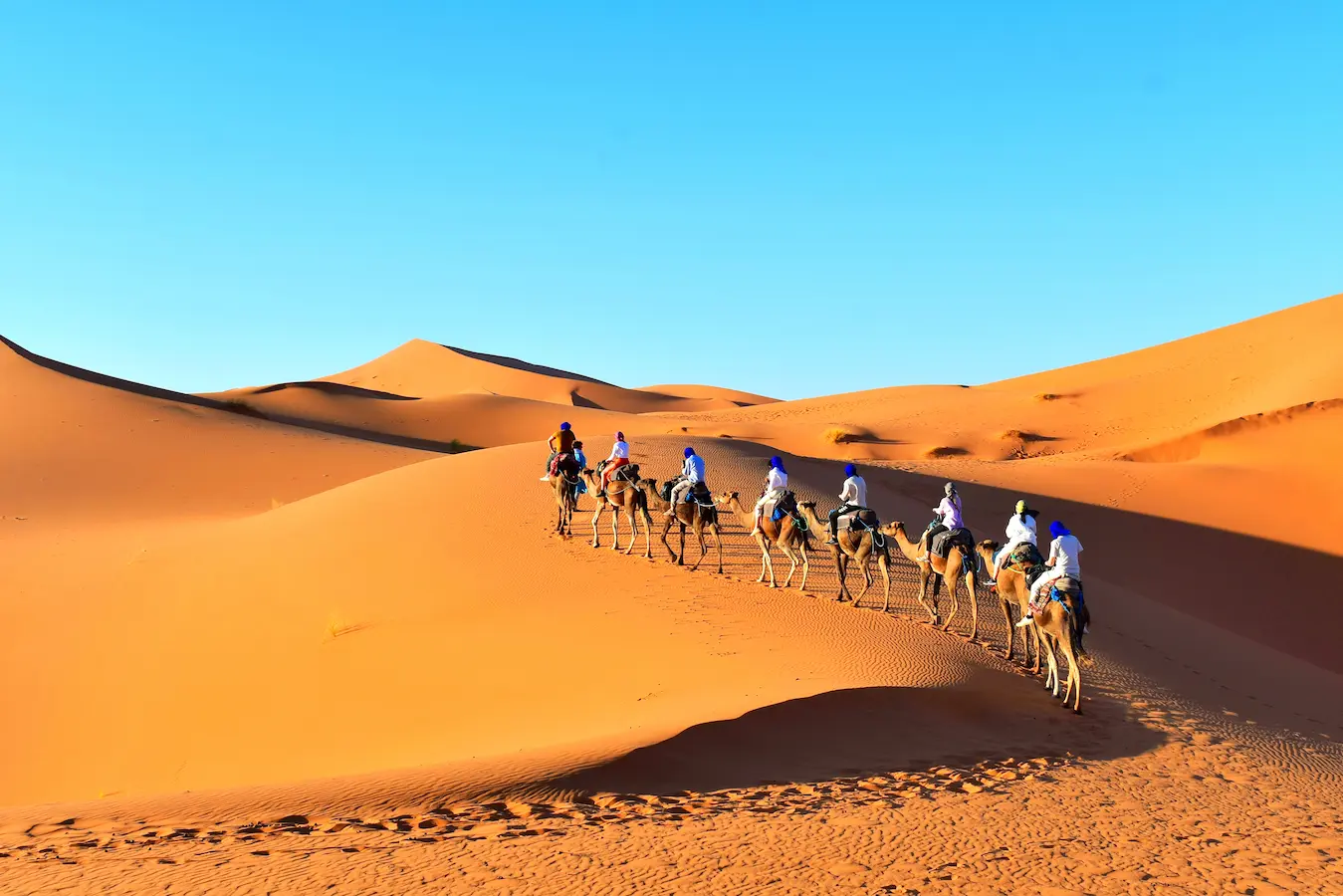 Camel trekking crossing the golden dunes of the Sahara Desert on a 4 days tour from Marrakech to Fes in Morocco.