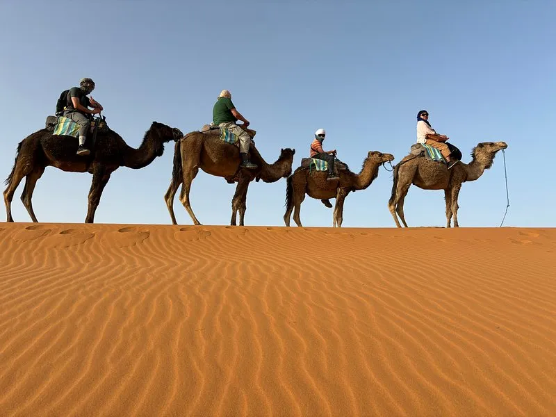 Camel Trek Activities in the Sahara Desert Morocco