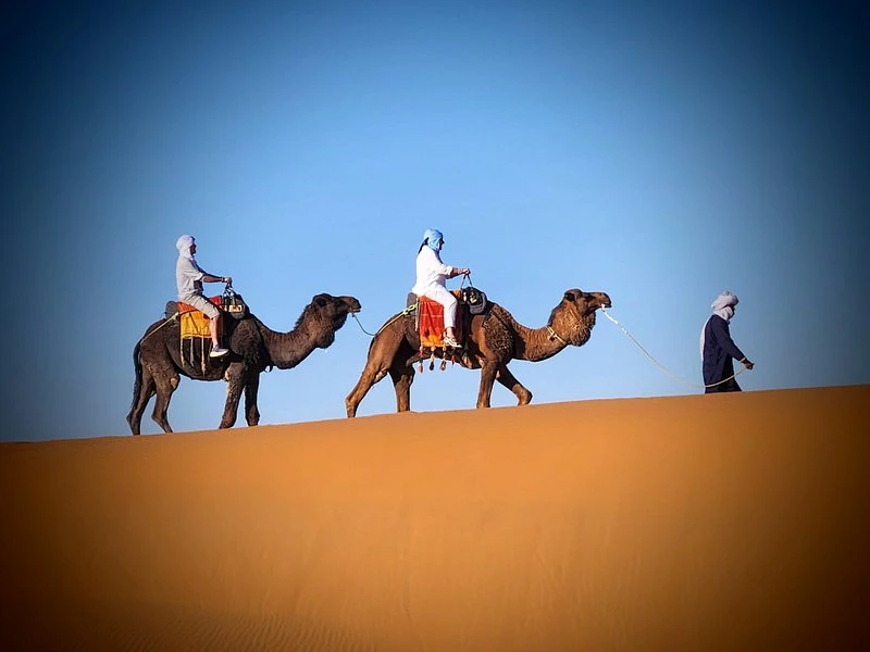 Camel trekking during the Sahara Desert tour in Merzouga Desert, Morocco