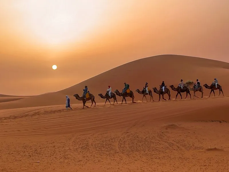 Camel trekking during a 3 day desert tour from Marrakech to Fes, Morocco.