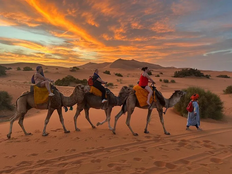 Camel Trekking at Sunset in Merzouga Sahara Desert, Morocco