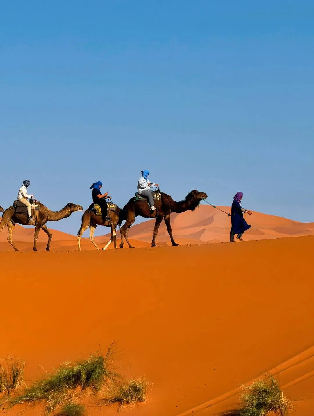 Camel Trekking at Sunset in the Sahara Desert on a 4 days tour from Marrakech to Merzouga in Morocco