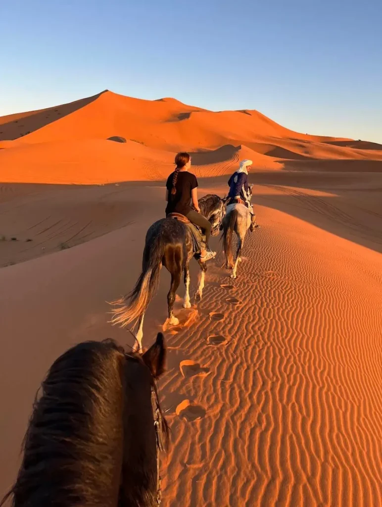 Horse ride experience in Merzouga Desert