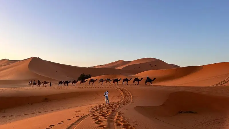 Camel trekking in the Sahara Desert of Morocco during a 5 Days Desert Tour from Casablanca