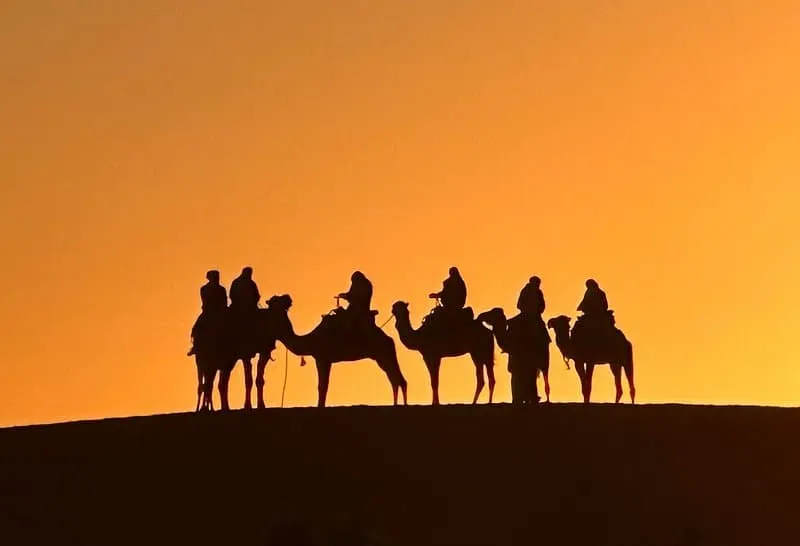 Camel Trekking at Sunset in the Sahara Desert